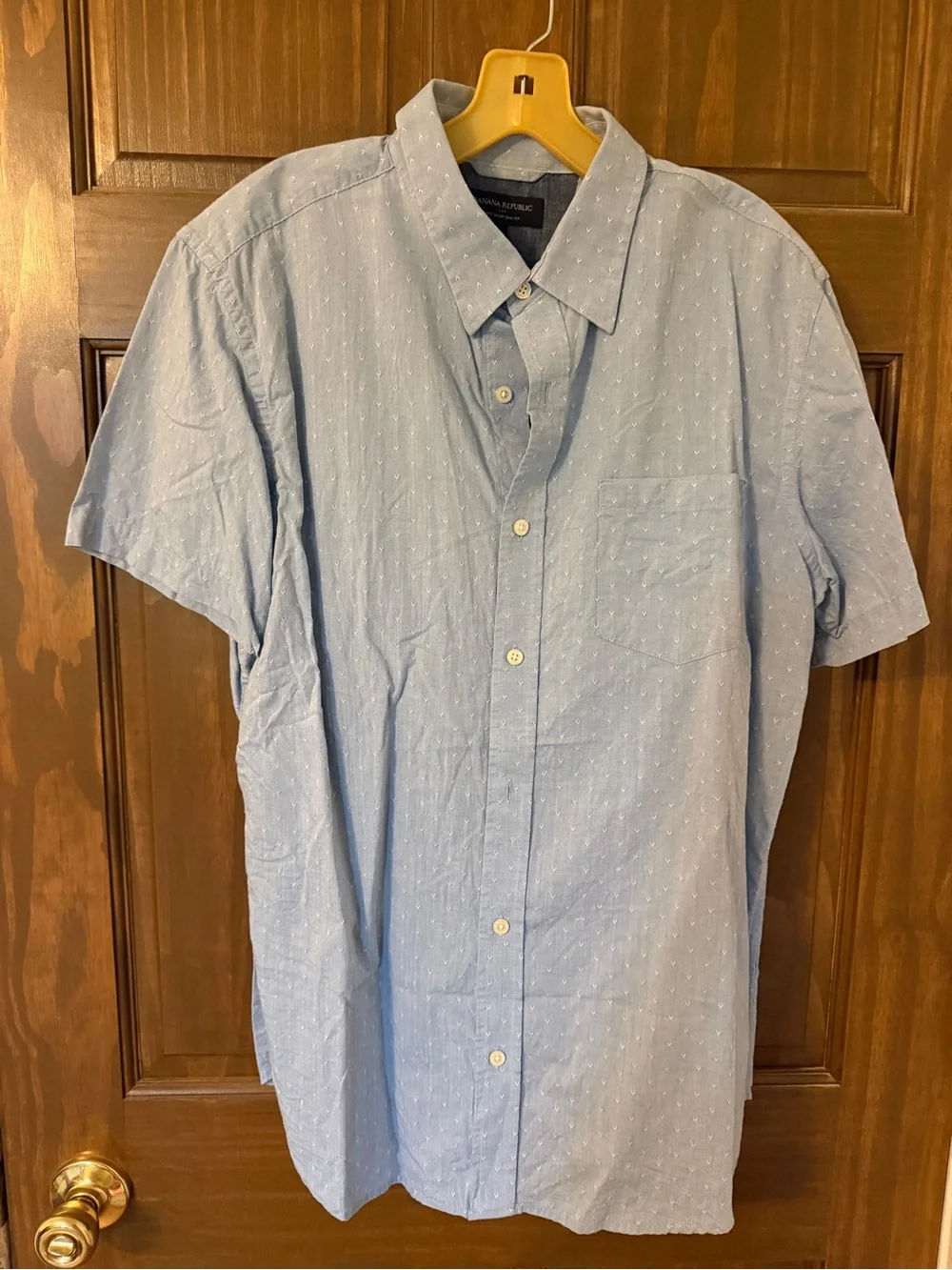 Banana Republic Pale Blue Short-Sleeve Button-Down Shirt